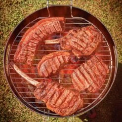 Tramontina 15.5 In Stainless Steel Round BBQ Charcoal Grill With Lid 25 Tramontina 15.5 In Stainless Steel Round BBQ Charcoal Grill With Lid -Deals Tramontina Store 80905033IXM010G